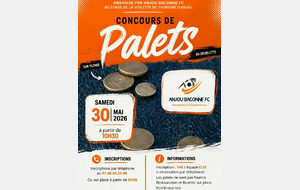 Concours de palets