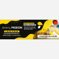 Jeremy Pigeon Peinture