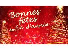 JOYEUSES FETES